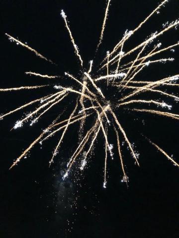 Veres Palne